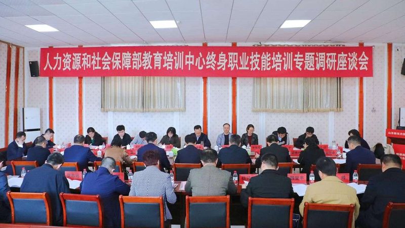 网络课程平台的功能繁多，但大致可以分为以下几个类别：
